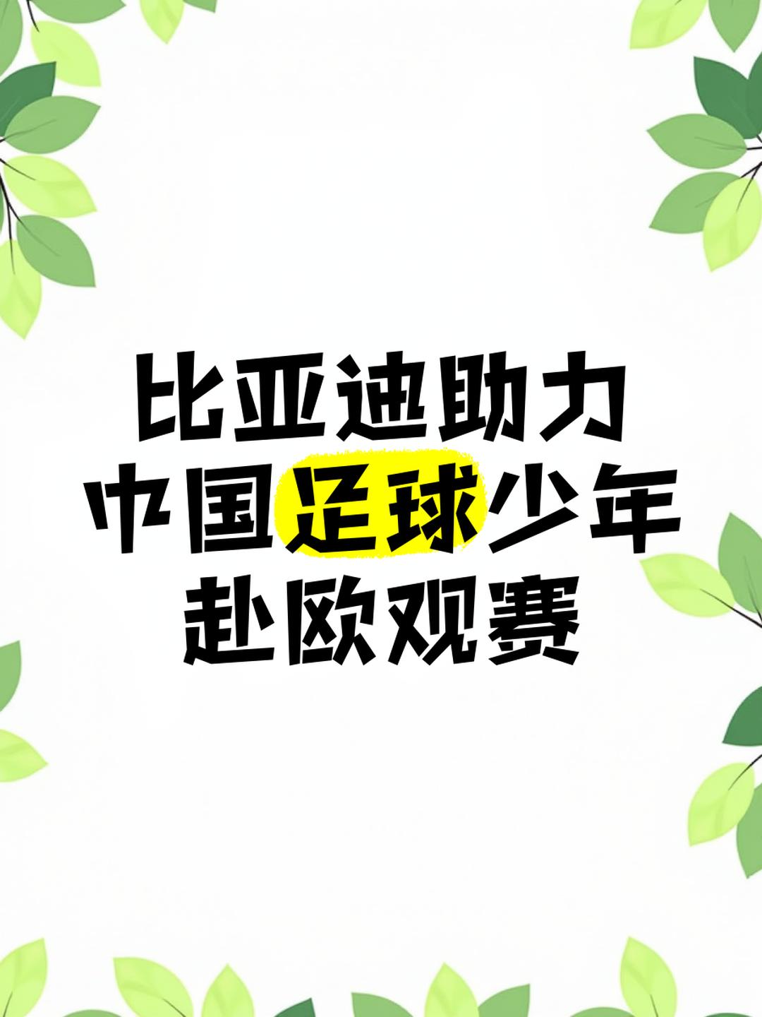 开云体育APP下载-关于依托“互联网+”推动青少年足球大众化，普及率逐年升高的信息
